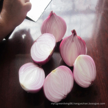 2016 Fresh Onions Price in China